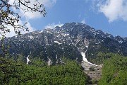 Spettacolo di crocus ai prati della Pigolotta di Valtorta il 26 aprile 2018 - FOTOGALLERY